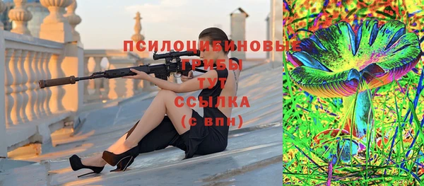 spice Армянск