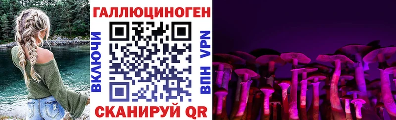 Псилоцибиновые грибы GOLDEN TEACHER  Оленегорск 